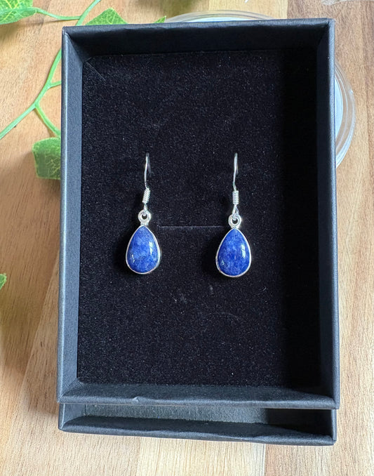 925 Sterling Silver Dangle Earrings – Crystal Collection