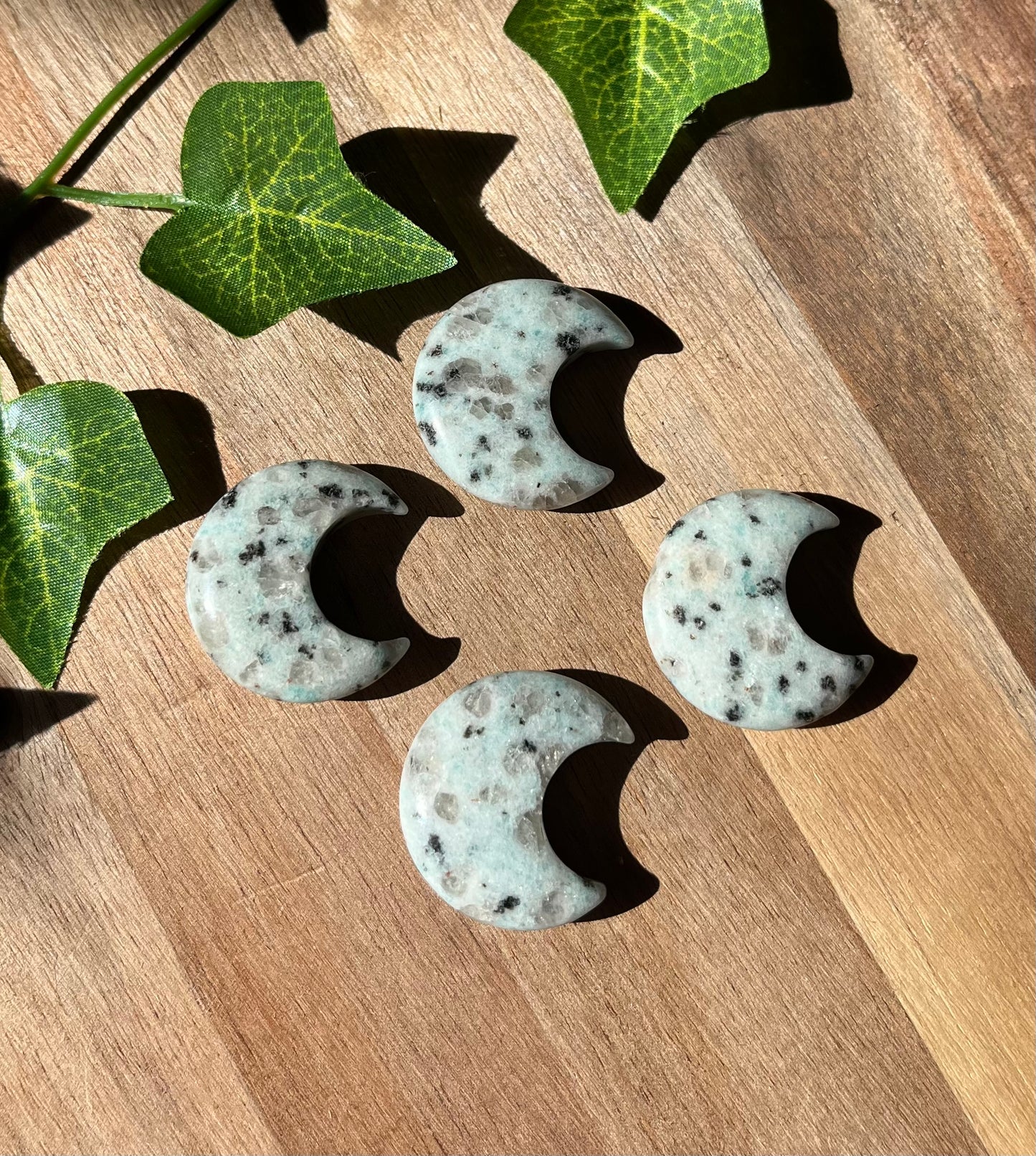 Kiwi Jasper Moons