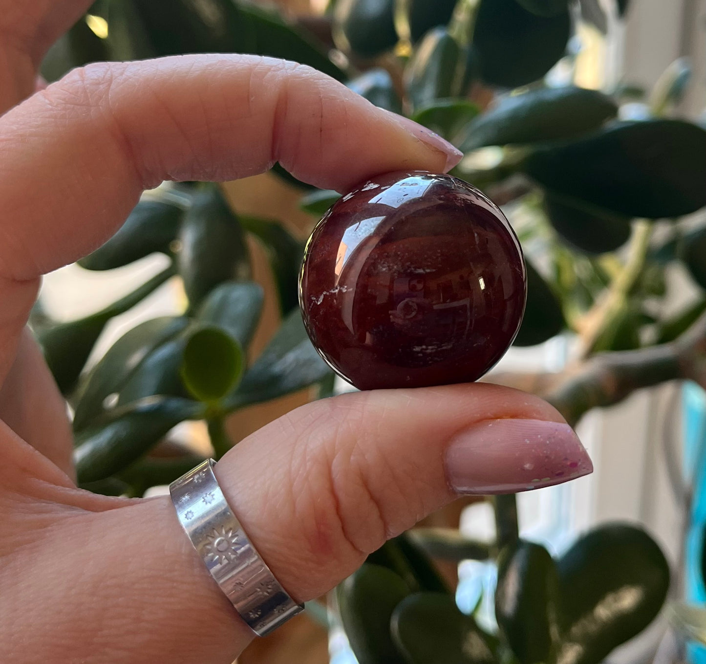 Petrified Wood Sphere