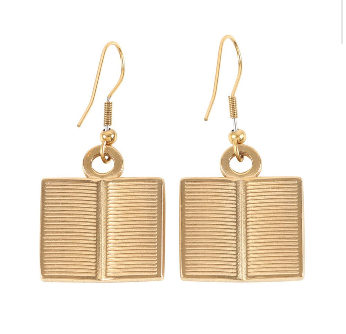 Book Worm Stainless Steel Earrings