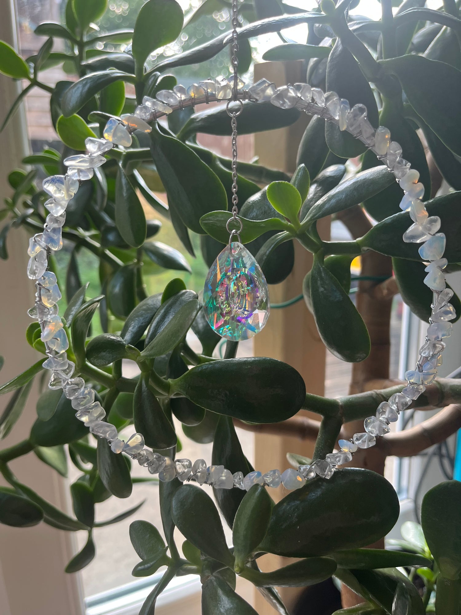 Sun Catchers