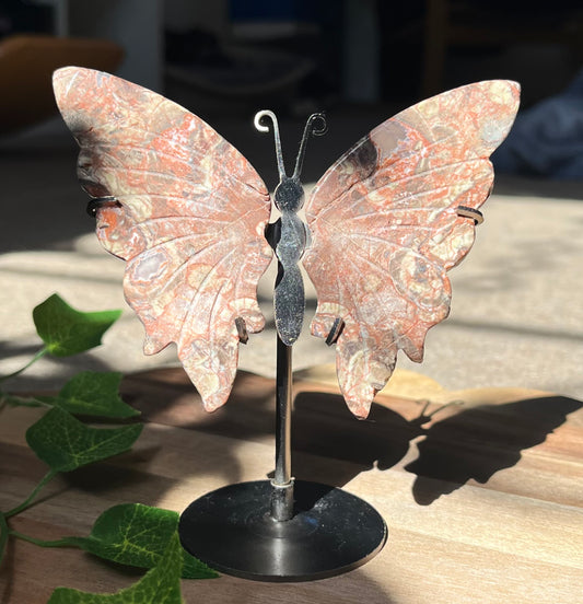 Mexican Agate Butterfly Wings