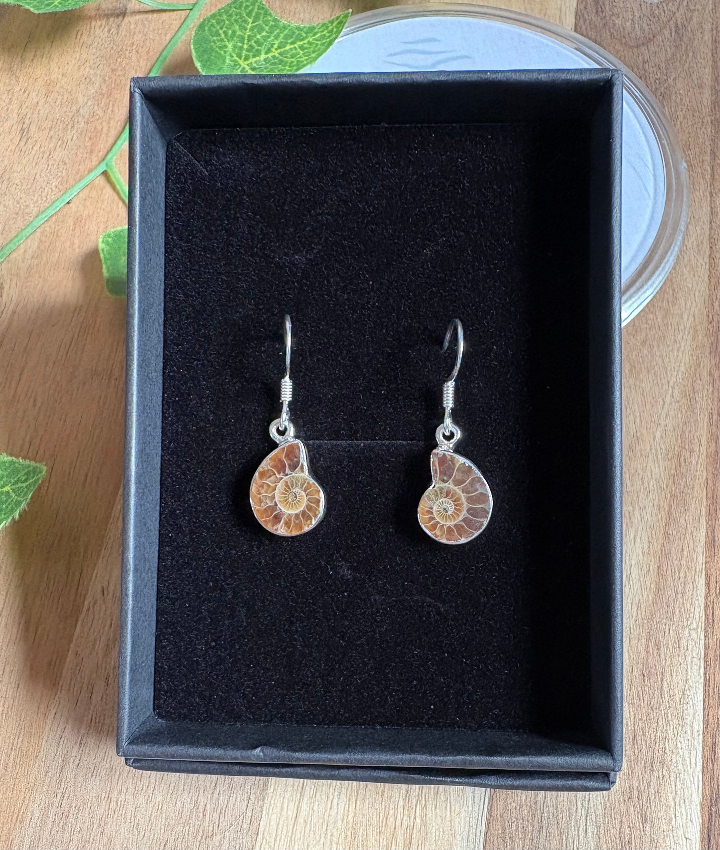 925 Sterling Silver Dangle Earrings – Crystal Collection