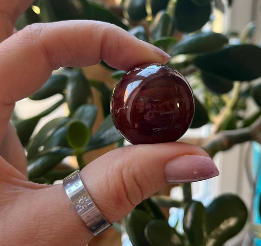 Petrified Wood Sphere