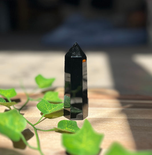 Black Obsidian Tower