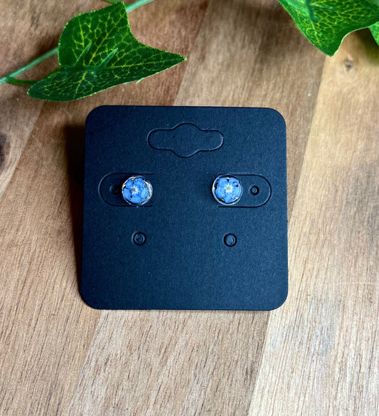 Silver-Plated Stud Earrings with Real Dried Forget-Me-Not Flowers - £1 from every sale donated to the Alzheimer's Society